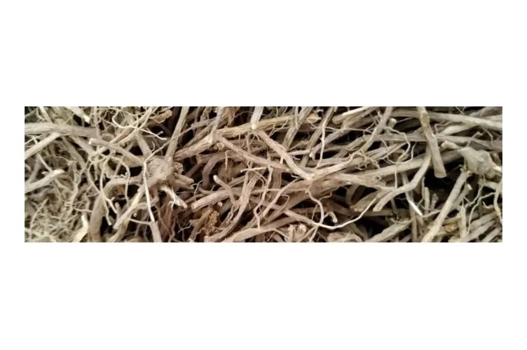 Tintura chilcuague raíz dorada kundalini tribe - extracto natural