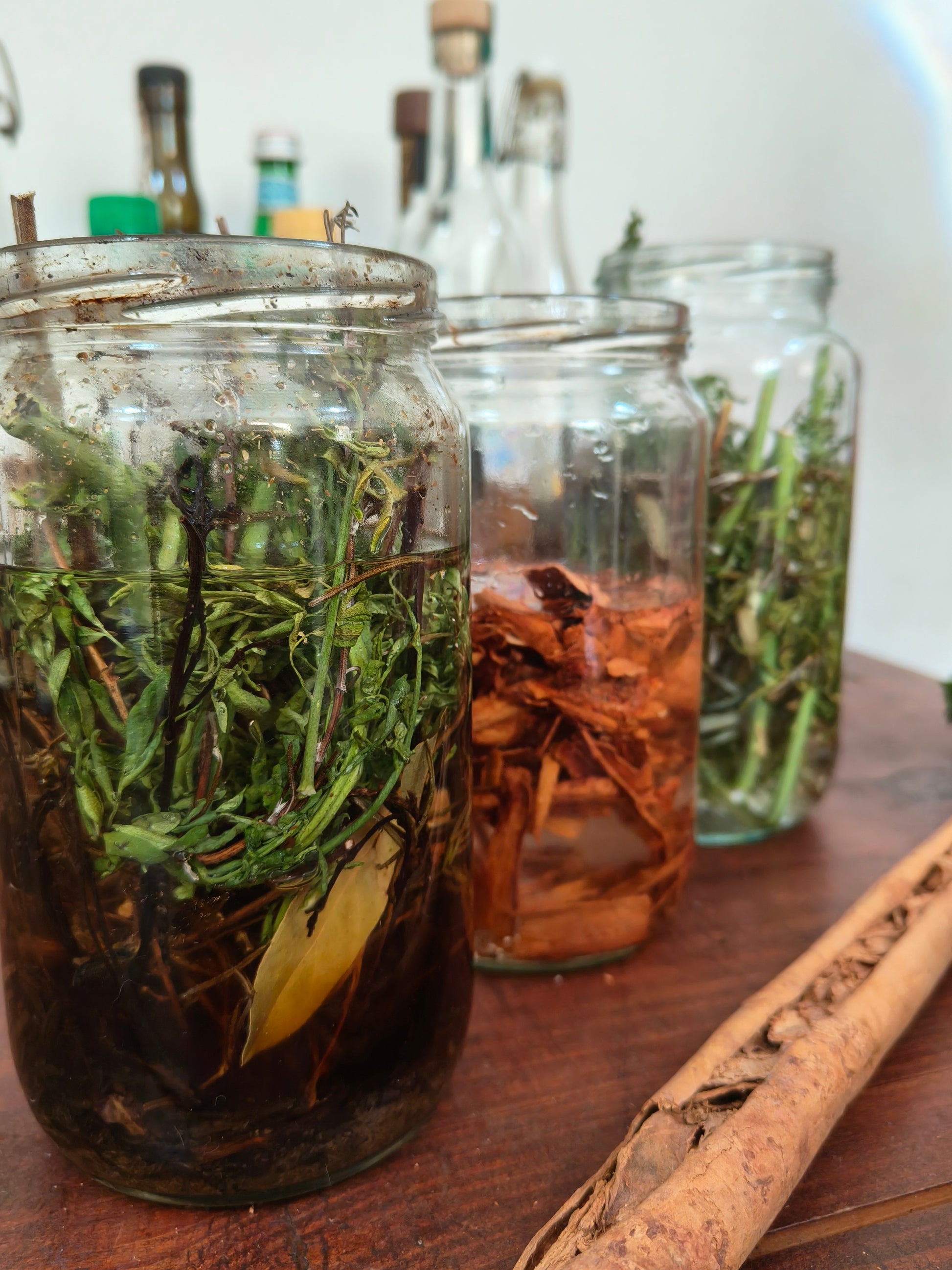 Ingredientes botánicos utilizados en Agua Florida cítrica artesanal
